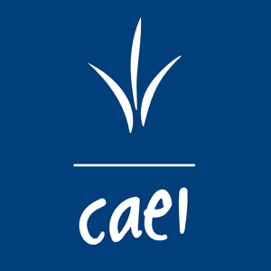 CAEI
